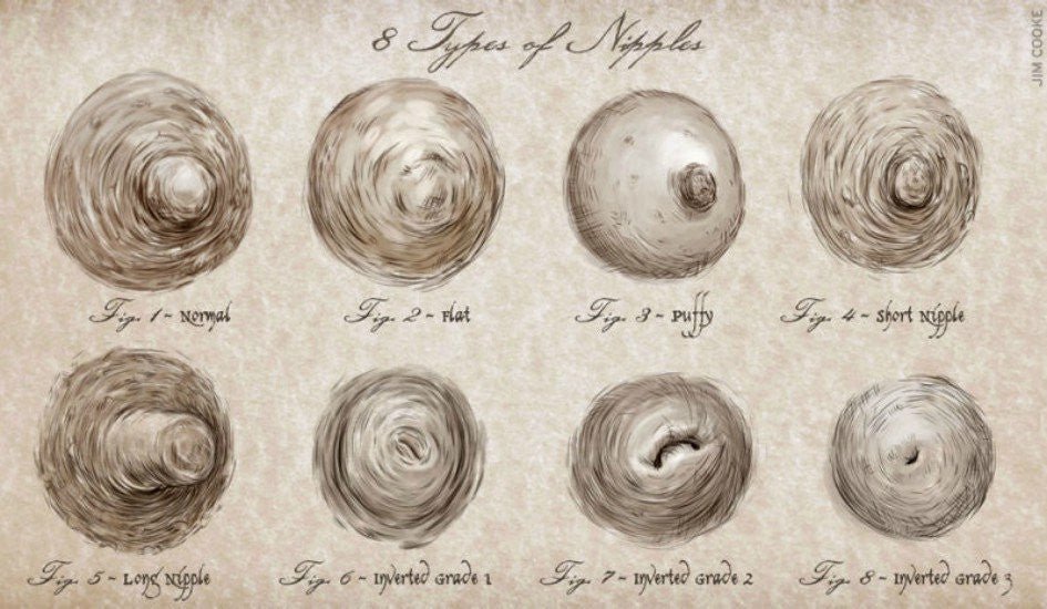 Part 2 - The Low Down on Breasts and Nipples. - Hotmilk Lingerie
