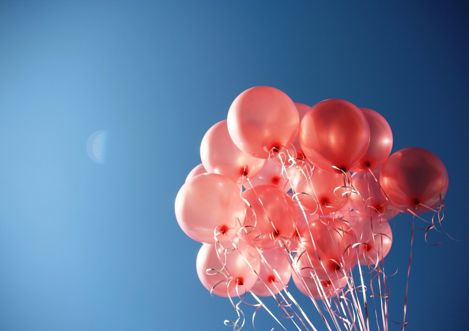 It's our 12th Birthday! - Hotmilk Lingerie