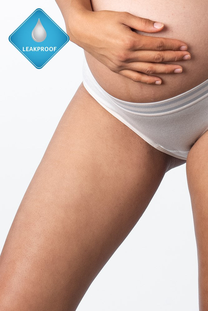 HOTMIK UK ELEVATE SHELL MODERATE LEAKPROOF HI BRIEF